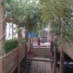 aquaponics in an unused floral shop greenhouse
