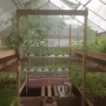 suberban aquaponics system