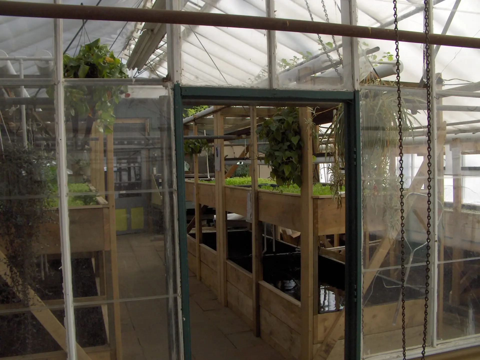 Read more about the article Principles Behind Aquaponics System Design